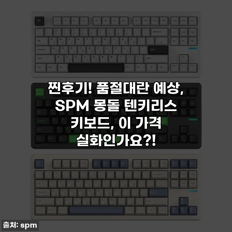 찐후기! 품절대란 예상, SPM 몽돌 텐키리스 키보드, 이 가격 실화인가요?!