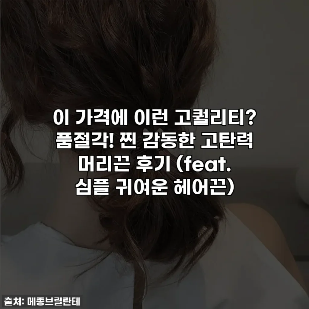 이 가격에 이런 고퀄리티? 품절각! 찐 감동한 고탄력 머리끈 후기 (feat. 심플 귀여운 헤어끈)