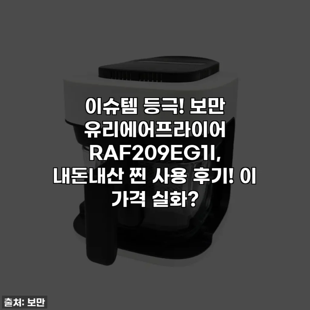 이슈템 등극! 보만 유리에어프라이어 RAF209EG1I, 내돈내산 찐 사용 후기! 이 가격 실화?