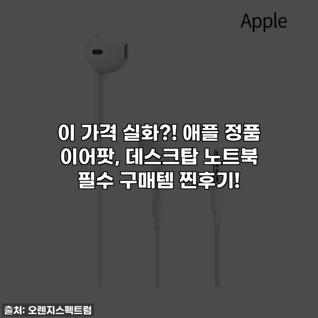 이 가격 실화?! 애플 정품 이어팟, 데스크탑 노트북 필수 구매템 찐후기!
