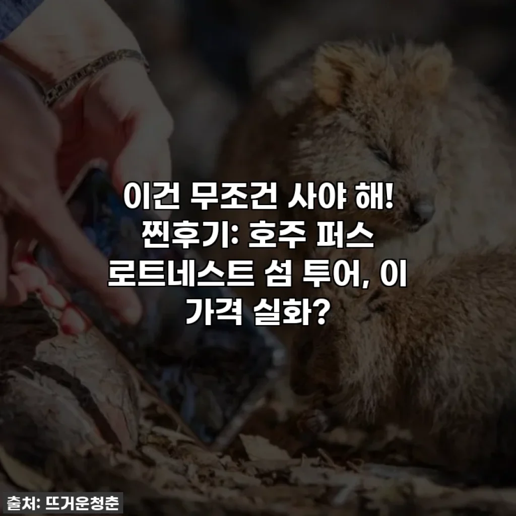 이건 무조건 사야 해! 찐후기: 호주 퍼스 로트네스트 섬 투어, 이 가격 실화?