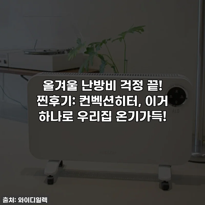 올겨울 난방비 걱정 끝! 찐후기: 컨벡션히터, 이거 하나로 우리집 온기가득!