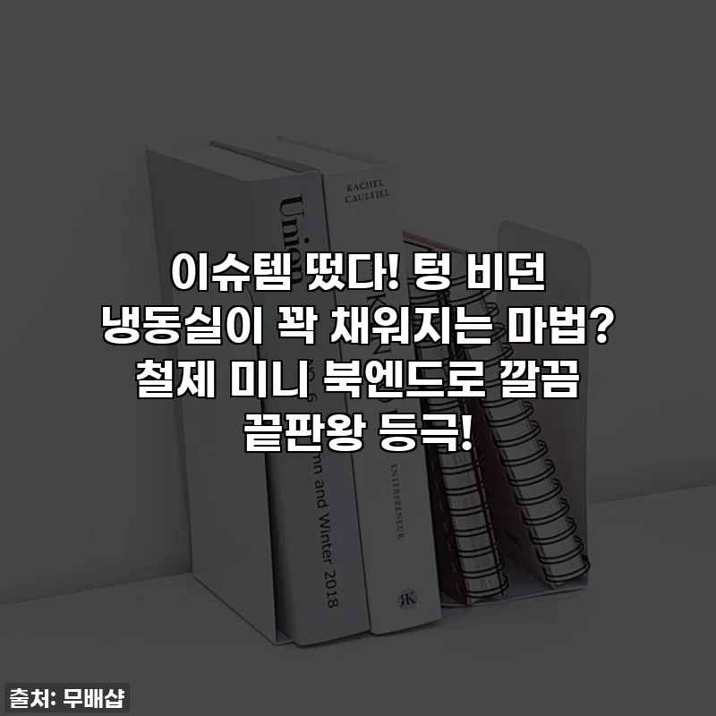 이슈템 떴다! 텅 비던 냉동실이 꽉 채워지는 마법? 철제 미니 북엔드로 깔끔 끝판왕 등극!