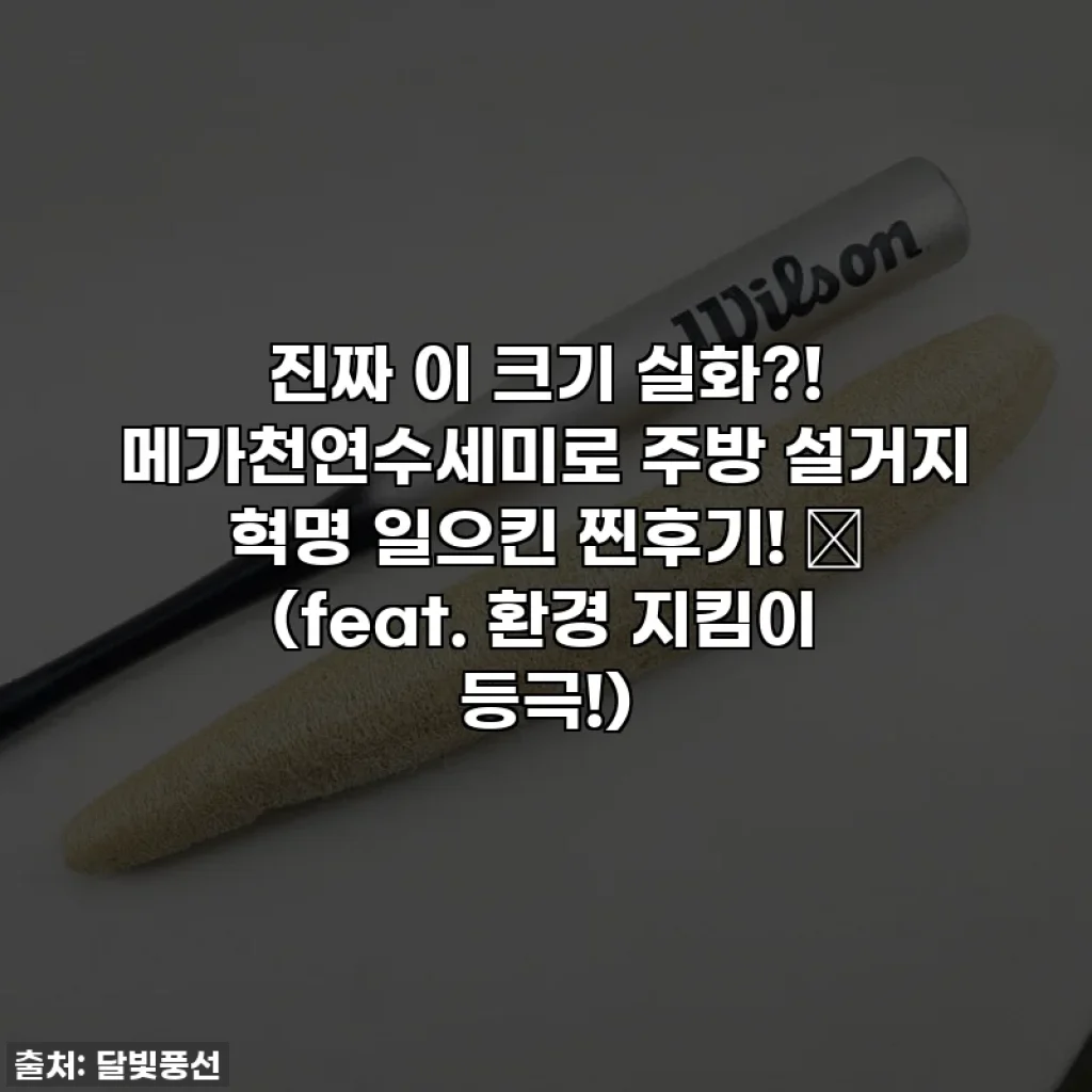 진짜 이 크기 실화?! 메가천연수세미로 주방 설거지 혁명 일으킨 찐후기! ✨ (feat. 환경 지킴이 등극!)