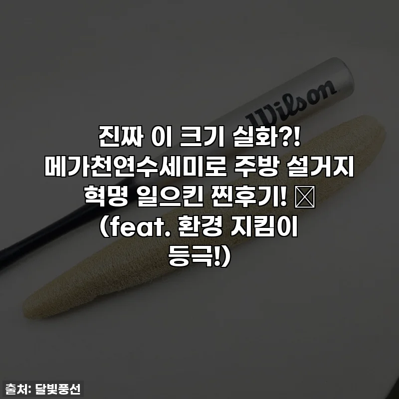 진짜 이 크기 실화?! 메가천연수세미로 주방 설거지 혁명 일으킨 찐후기! ✨ (feat. 환경 지킴이 등극!)