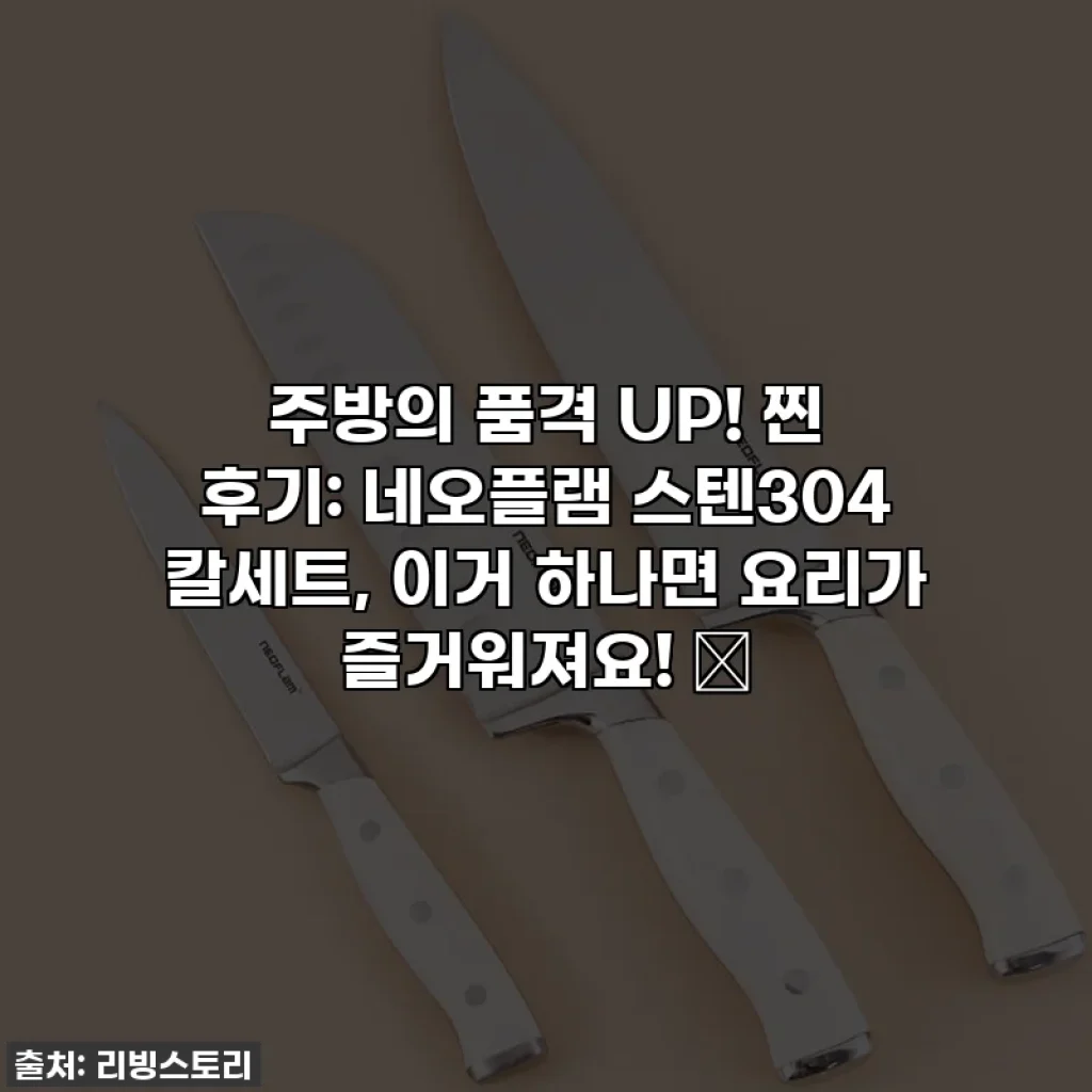 주방의 품격 UP! 찐 후기: 네오플램 스텐304 칼세트, 이거 하나면 요리가 즐거워져요! ✨