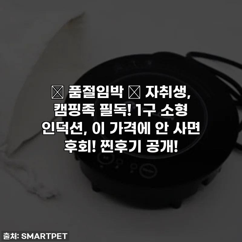 🚨 품절임박 🚨 자취생, 캠핑족 필독! 1구 소형 인덕션, 이 가격에 안 사면 후회! 찐후기 공개!
