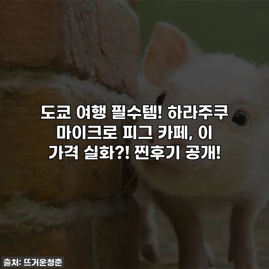 도쿄 여행 필수템! 하라주쿠 마이크로 피그 카페, 이 가격 실화?! 찐후기 공개!