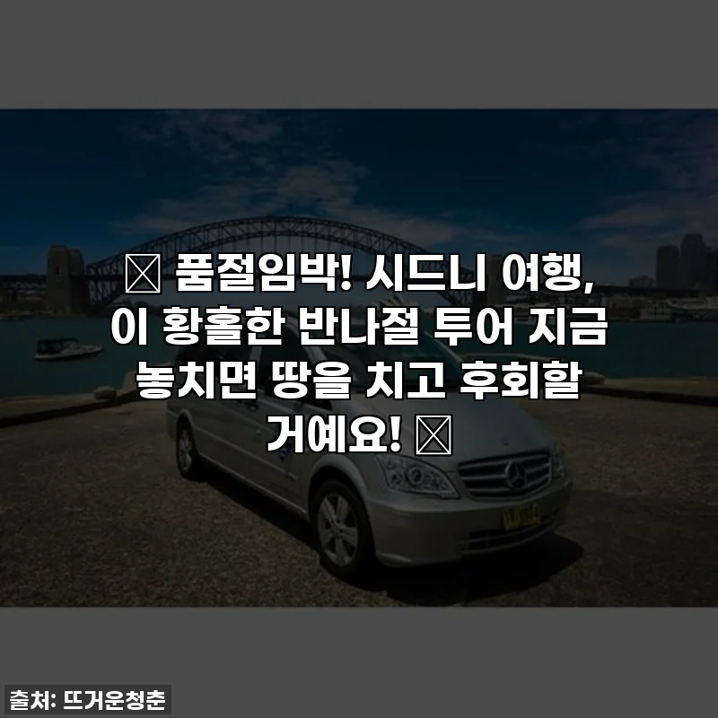🎁 품절임박! 시드니 여행, 이 황홀한 반나절 투어 지금 놓치면 땅을 치고 후회할 거예요! 🌊