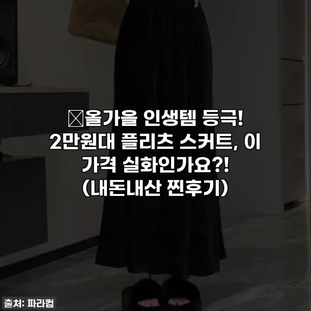 💖올가을 인생템 등극! 2만원대 플리츠 스커트, 이 가격 실화인가요?! (내돈내산 찐후기)