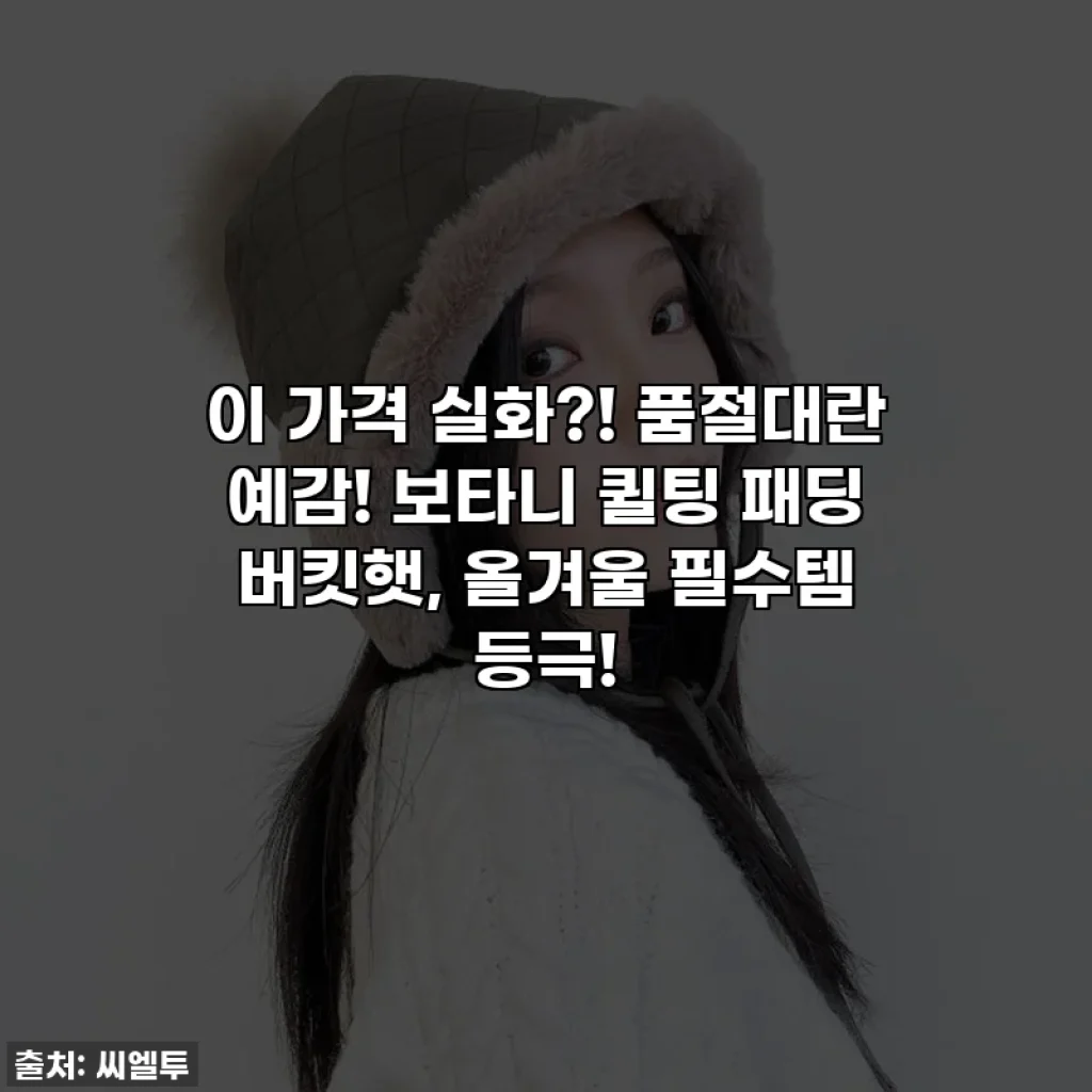 이 가격 실화?! 품절대란 예감! 보타니 퀼팅 패딩 버킷햇, 올겨울 필수템 등극!