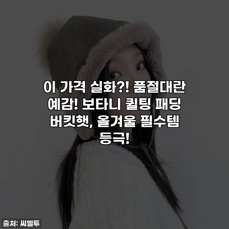 이 가격 실화?! 품절대란 예감! 보타니 퀼팅 패딩 버킷햇, 올겨울 필수템 등극!
