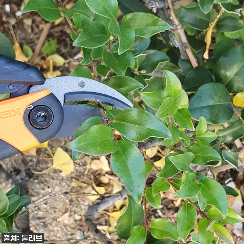 켄도 코팅 프로 전정가위, 이건 진짜 관련 이미지 1