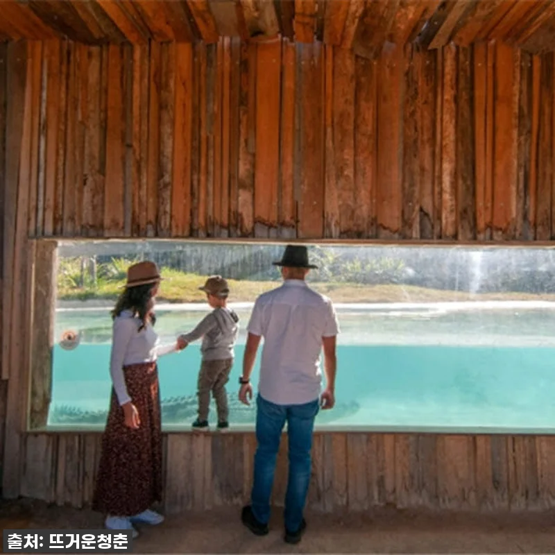 시드니 동물원 입장권 관련 이미지 1