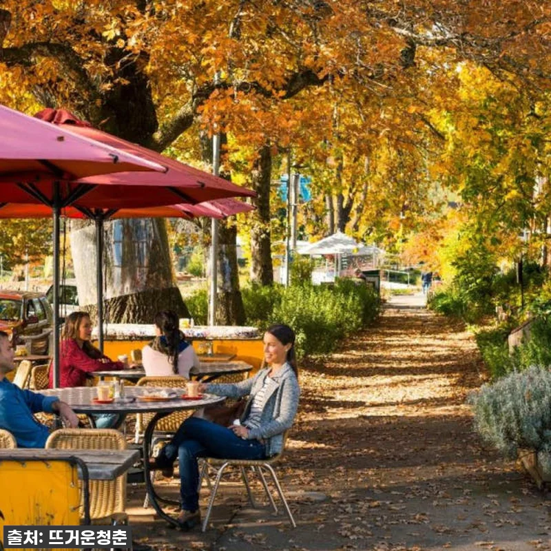 멜버른 호수 산 눈 & 폭포 일일 투 관련 이미지 1