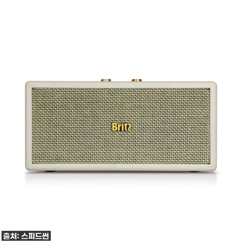 이슈템 찐후기! 브리츠 BZ-TX11 관련 이미지 1