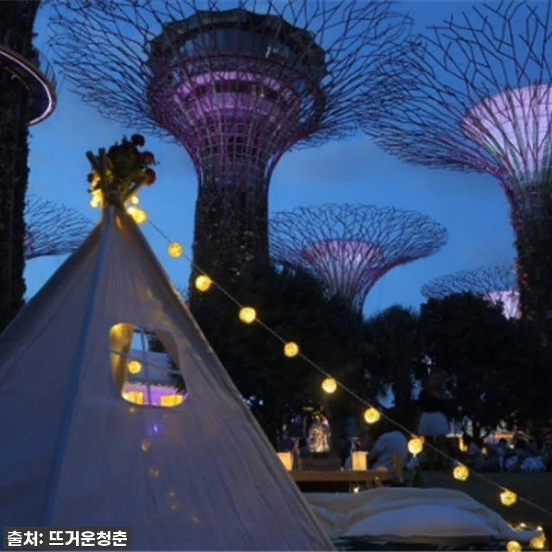 이건 무조건 쟁여야 해! 💖 찐내돈내 관련 이미지 3