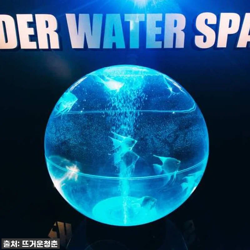 일본 수족관 우주 여행 UNDER W 관련 이미지 3