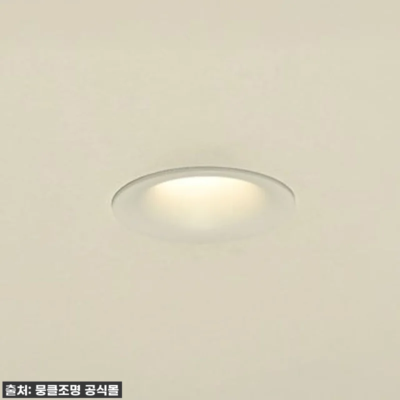 집 꾸미기 끝판왕! 국산 55mm L 관련 이미지 3