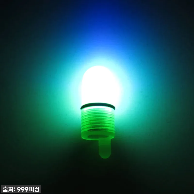 🐟 낚시 초보도 월척 잡게 해주는 꿀 관련 이미지 5