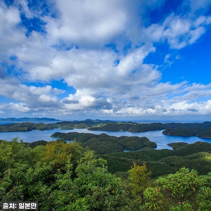 부산-대마도 노바호 배편 찐후기! 품 관련 이미지 5
