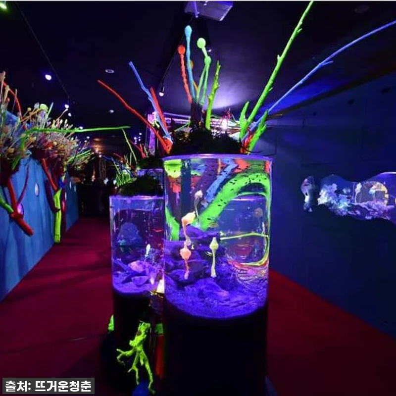 일본 수족관 우주 여행 UNDER W 관련 이미지 5