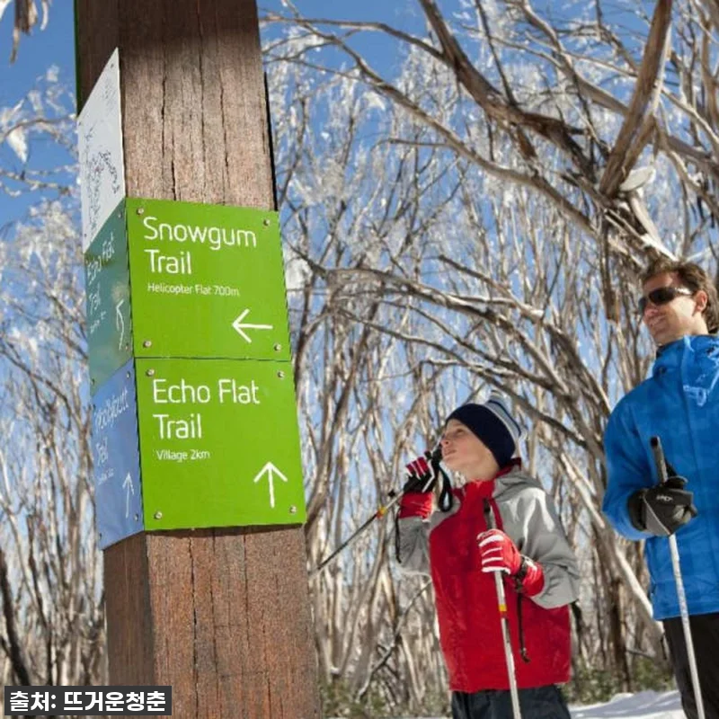 멜버른 호수 산 눈 & 폭포 일일 투 관련 이미지 5