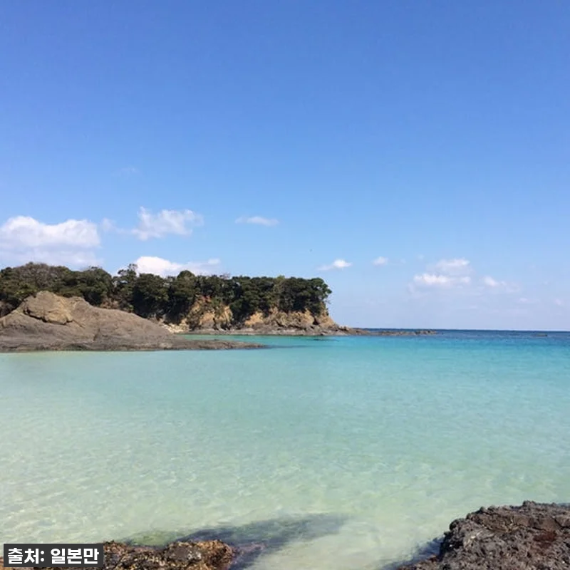 부산-대마도 노바호 배편 찐후기! 품 관련 이미지 6