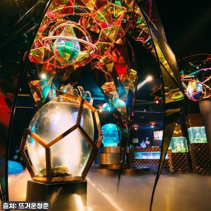 일본 수족관 우주 여행 UNDER W 관련 이미지 6