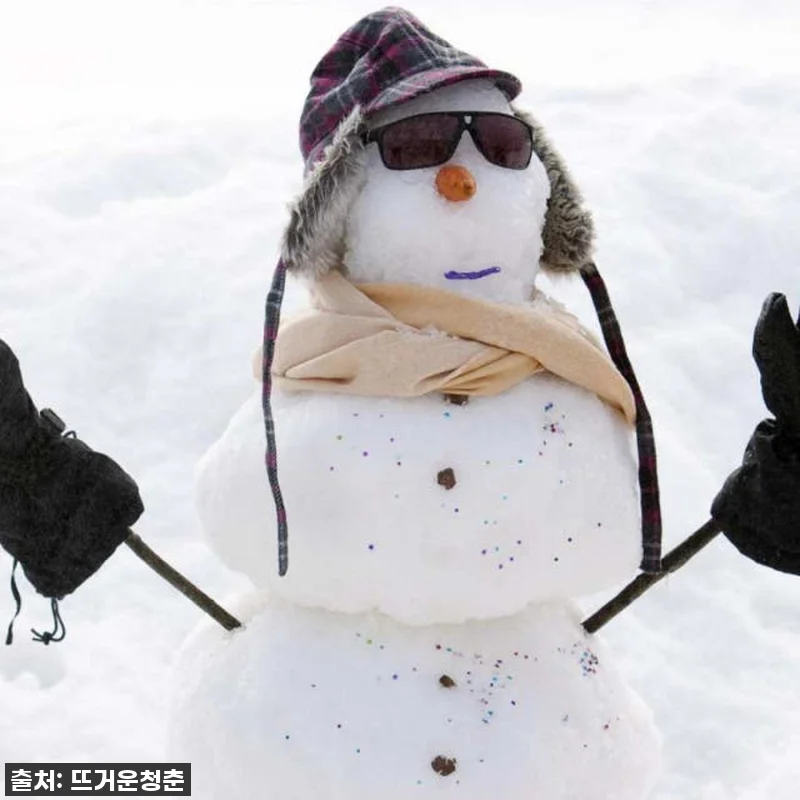 멜버른 호수 산 눈 & 폭포 일일 투 관련 이미지 6