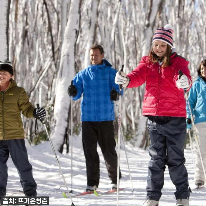 멜버른 호수 산 눈 & 폭포 일일 투 관련 이미지 7