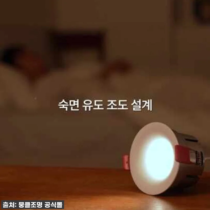 집 꾸미기 끝판왕! 국산 55mm L 관련 이미지 9