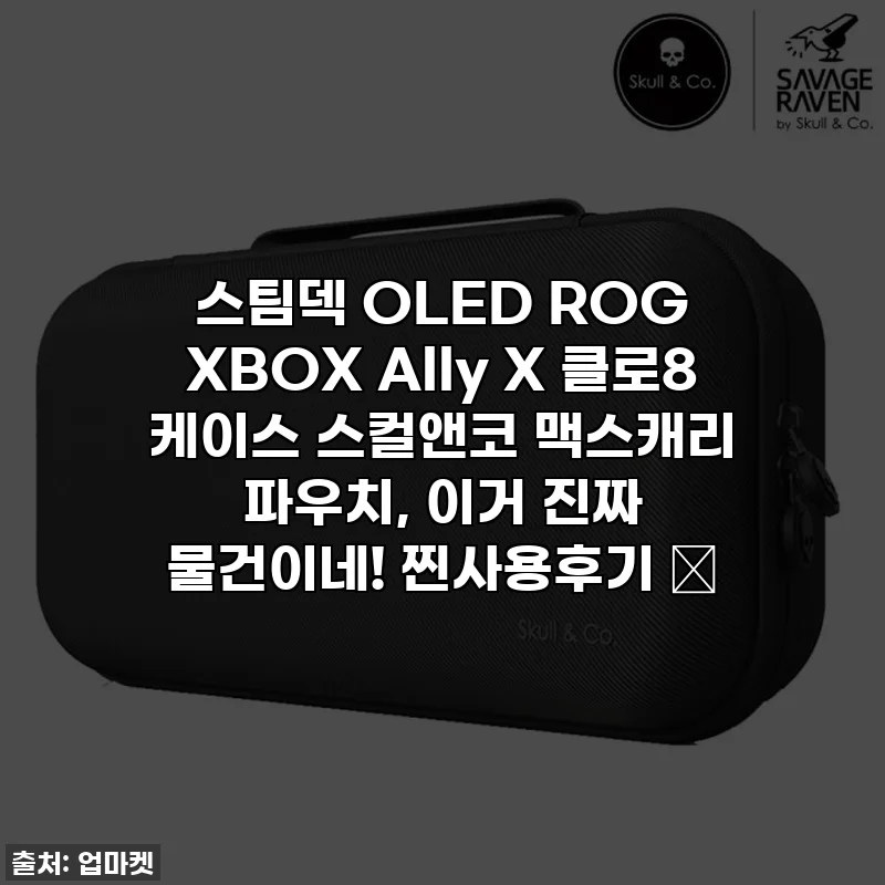 스팀덱 OLED ROG XBOX Ally X 클로8 케이스 스컬앤코 맥스캐리 파우치, 이거 진짜 물건이네! 찐사용후기 ✨