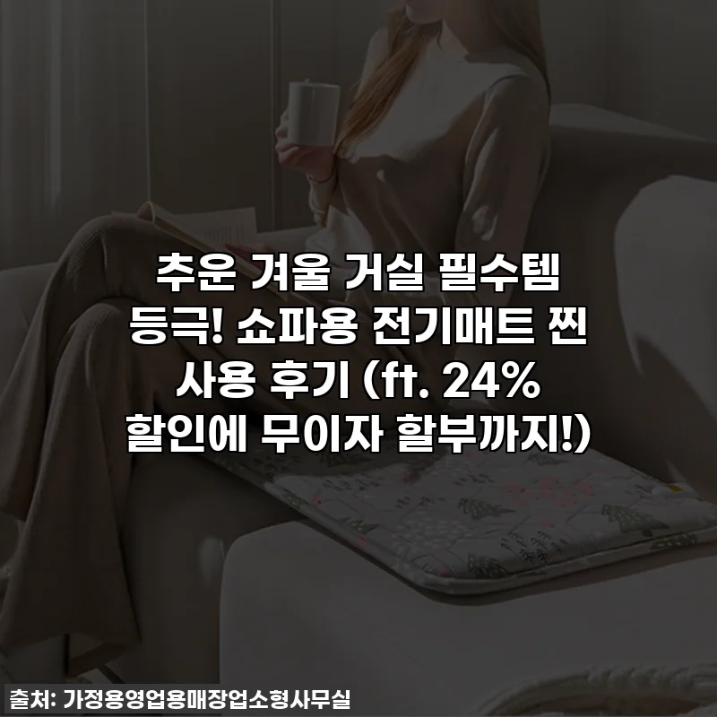 추운 겨울 거실 필수템 등극! 쇼파용 전기매트 찐 사용 후기 (ft. 24% 할인에 무이자 할부까지!)