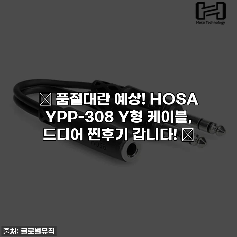 ✨ 품절대란 예상! HOSA YPP-308 Y형 케이블, 드디어 찐후기 갑니다! ✨