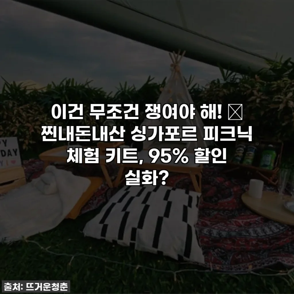 이건 무조건 쟁여야 해! 💖 찐내돈내산 싱가포르 피크닉 체험 키트, 95% 할인 실화?