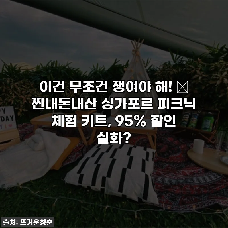 이건 무조건 쟁여야 해! 💖 찐내돈내산 싱가포르 피크닉 체험 키트, 95% 할인 실화?