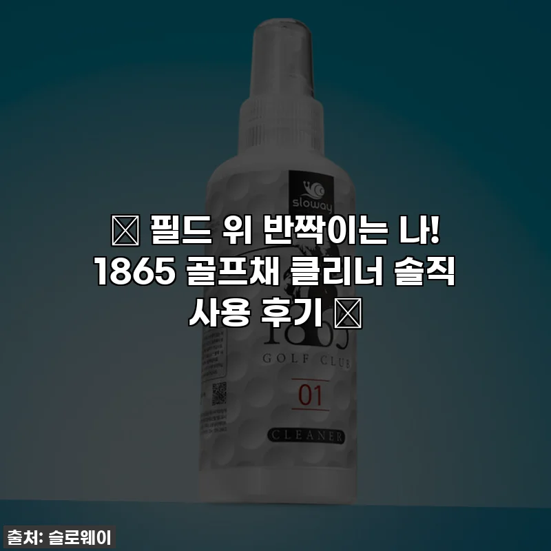 ✨ 필드 위 반짝이는 나! 1865 골프채 클리너 솔직 사용 후기 ⛳