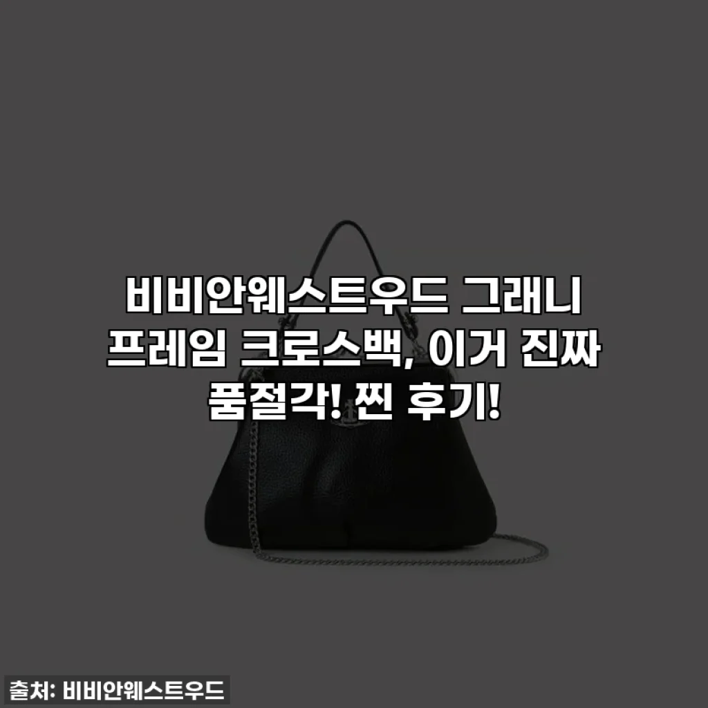 비비안웨스트우드 그래니 프레임 크로스백, 이거 진짜 품절각! 찐 후기!