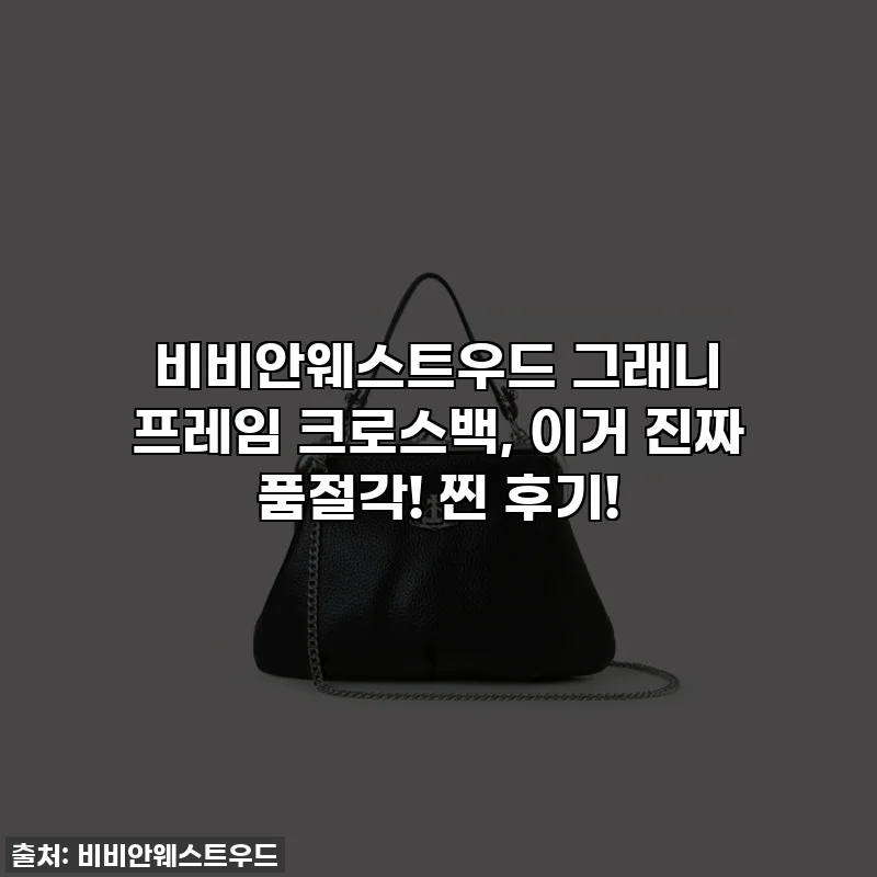 비비안웨스트우드 그래니 프레임 크로스백, 이거 진짜 품절각! 찐 후기!