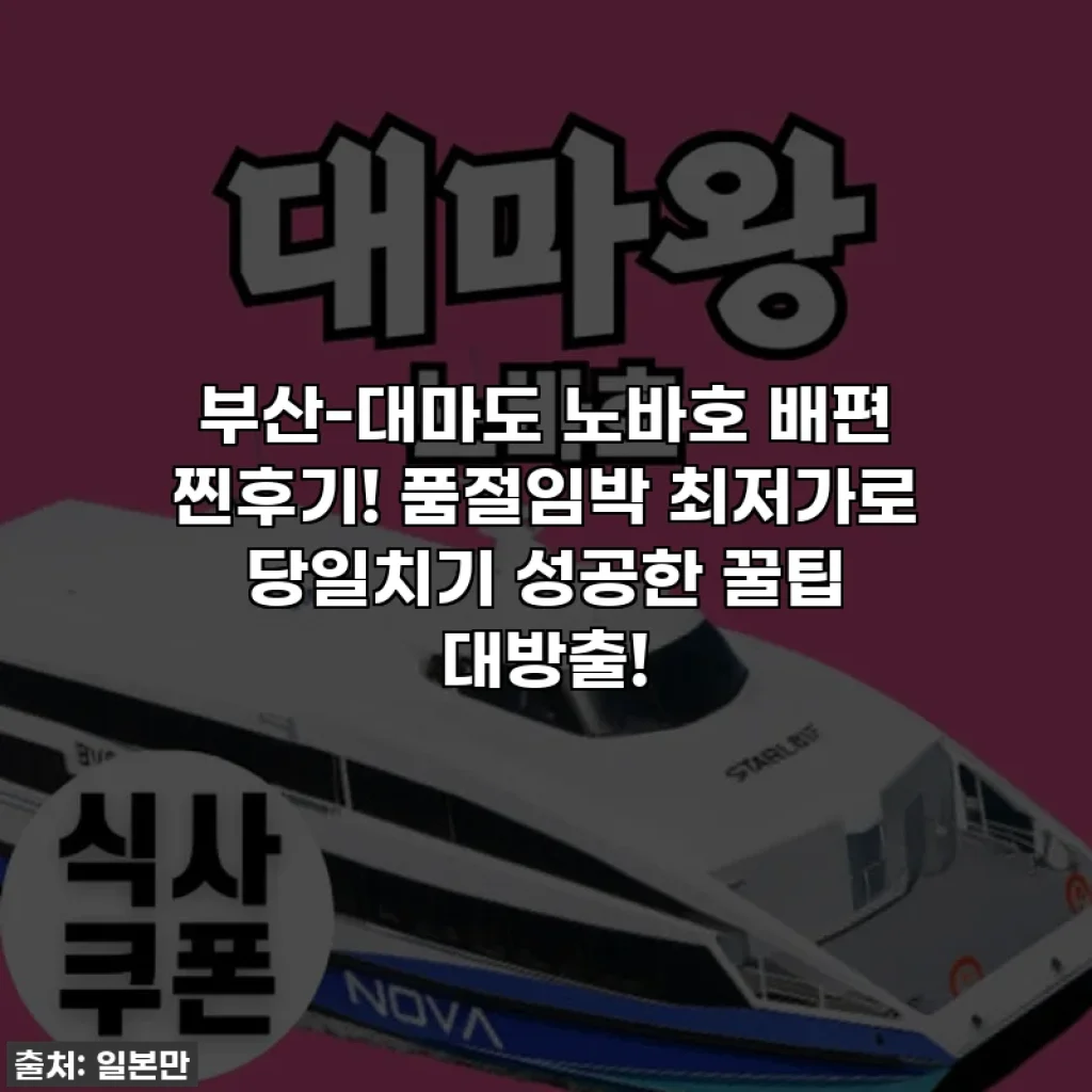 부산-대마도 노바호 배편 찐후기! 품절임박 최저가로 당일치기 성공한 꿀팁 대방출!
