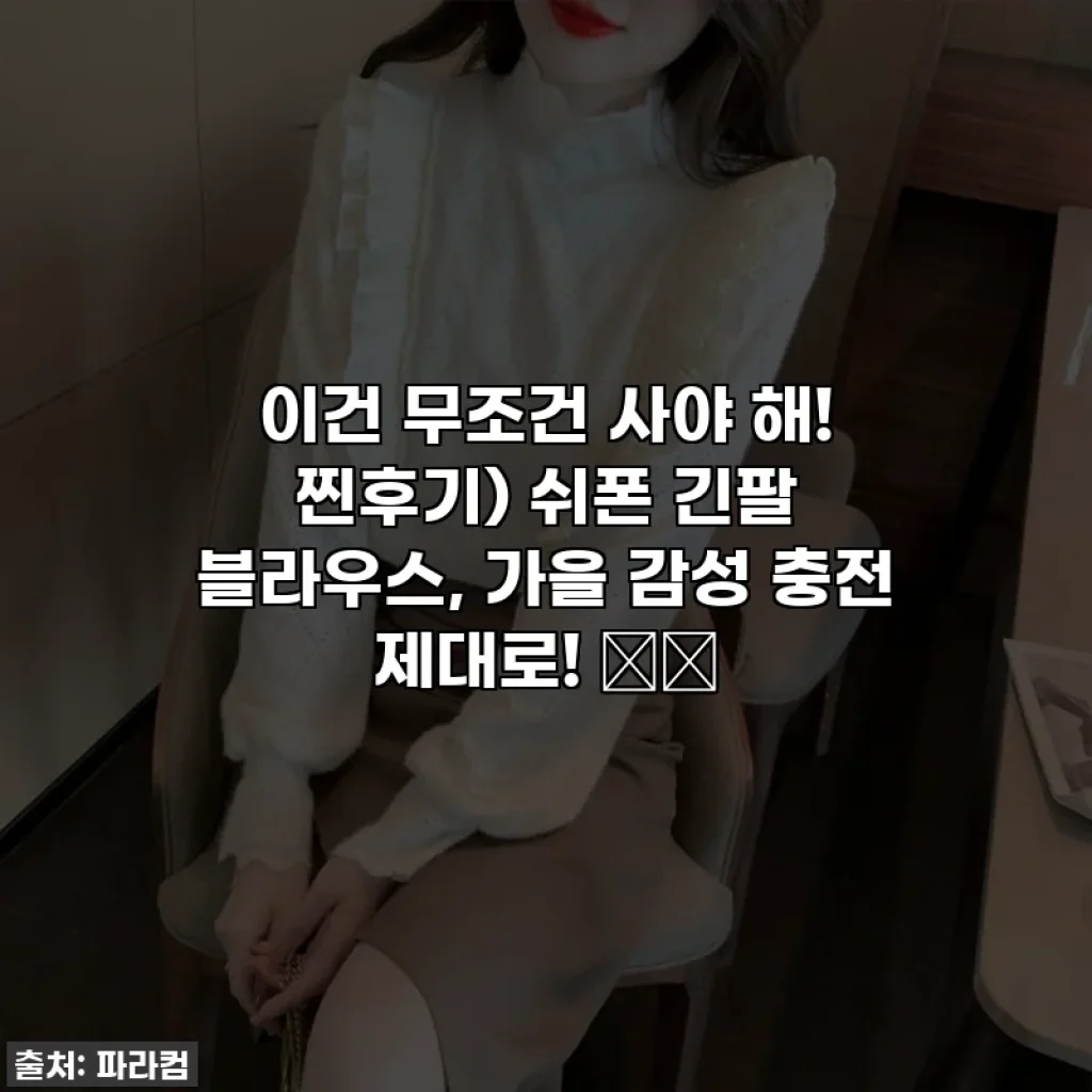 이건 무조건 사야 해! 찐후기) 쉬폰 긴팔 블라우스, 가을 감성 충전 제대로! 🍂✨