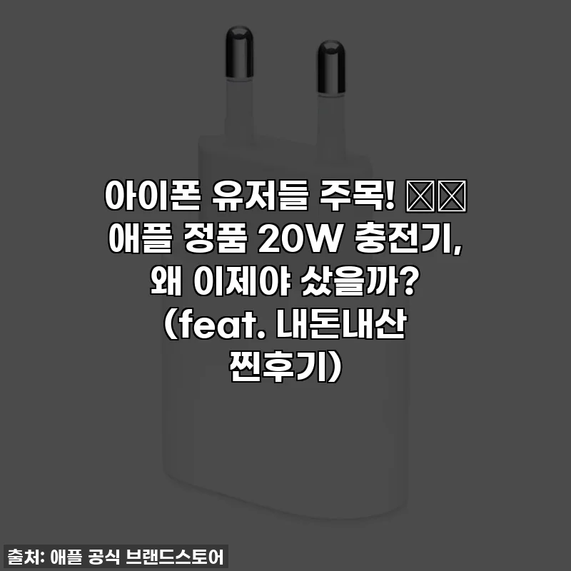 아이폰 유저들 주목! ⚡️ 애플 정품 20W 충전기, 왜 이제야 샀을까? (feat. 내돈내산 찐후기)