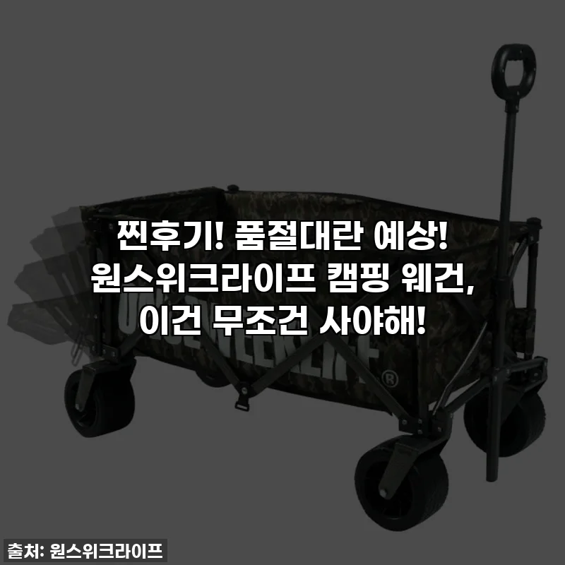 찐후기! 품절대란 예상! 원스위크라이프 캠핑 웨건, 이건 무조건 사야해!