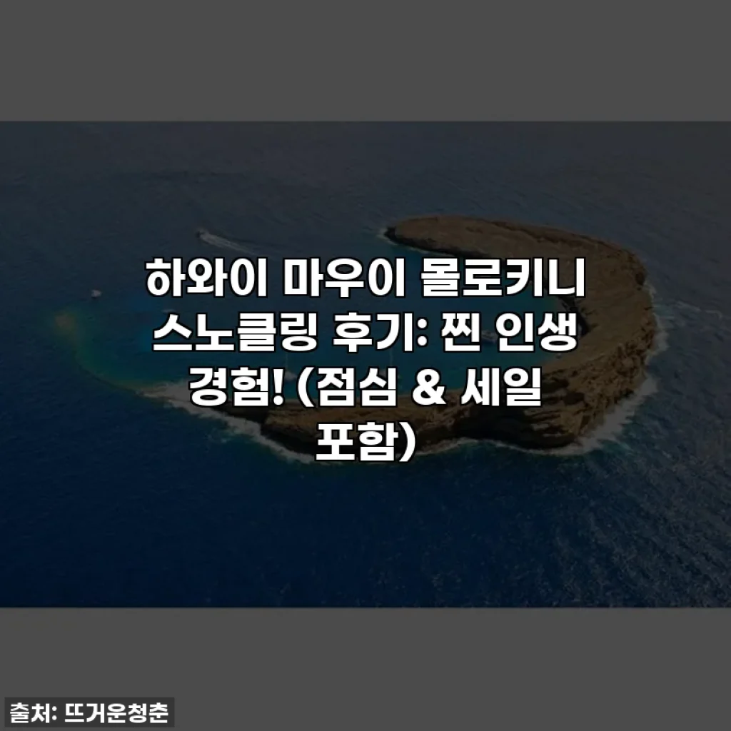 하와이 마우이 몰로키니 스노클링 후기: 찐 인생 경험! (점심 & 세일 포함)
