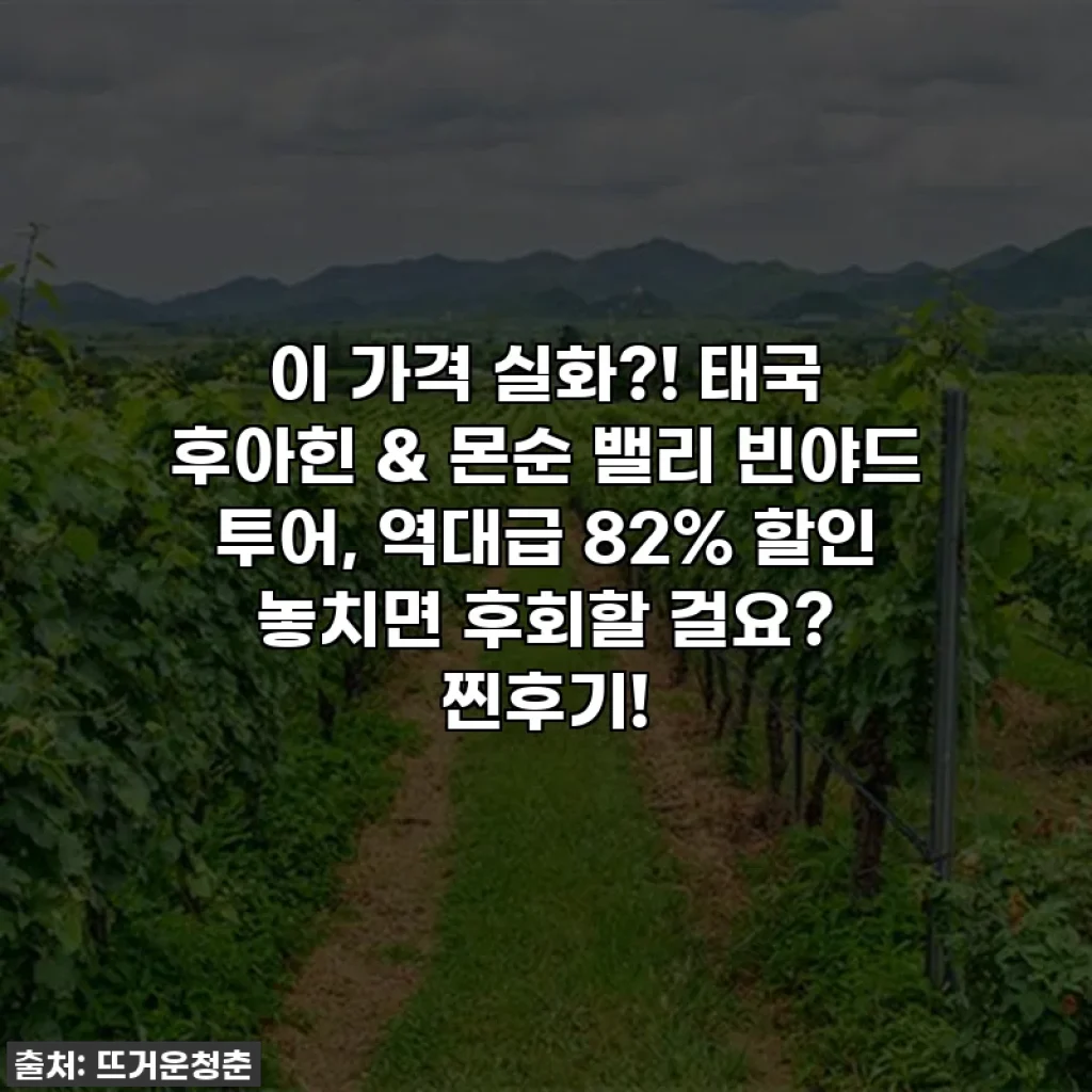 이 가격 실화?! 태국 후아힌 & 몬순 밸리 빈야드 투어, 역대급 82% 할인 놓치면 후회할 걸요? 찐후기!