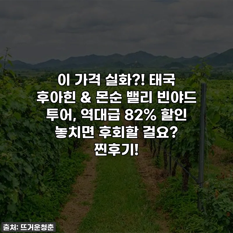 이 가격 실화?! 태국 후아힌 & 몬순 밸리 빈야드 투어, 역대급 82% 할인 놓치면 후회할 걸요? 찐후기!