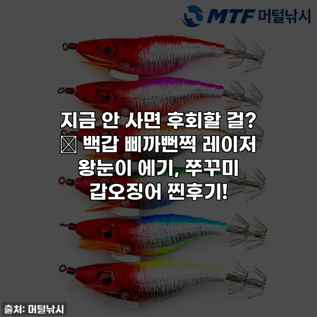 지금 안 사면 후회할 걸? ✨ 백갑 삐까뻔쩍 레이저 왕눈이 에기, 쭈꾸미 갑오징어 찐후기!