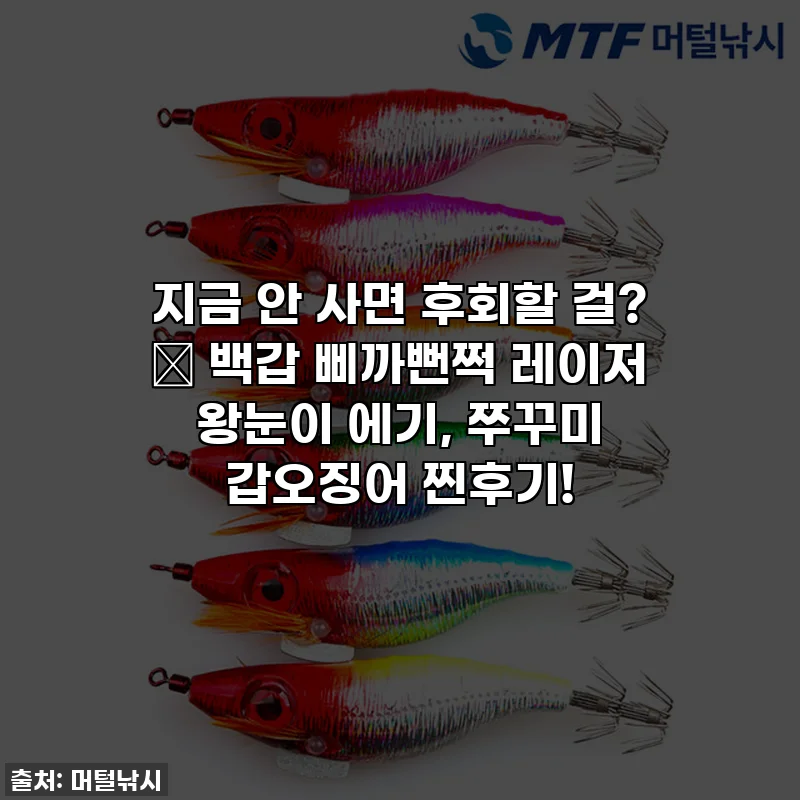 지금 안 사면 후회할 걸? ✨ 백갑 삐까뻔쩍 레이저 왕눈이 에기, 쭈꾸미 갑오징어 찐후기!