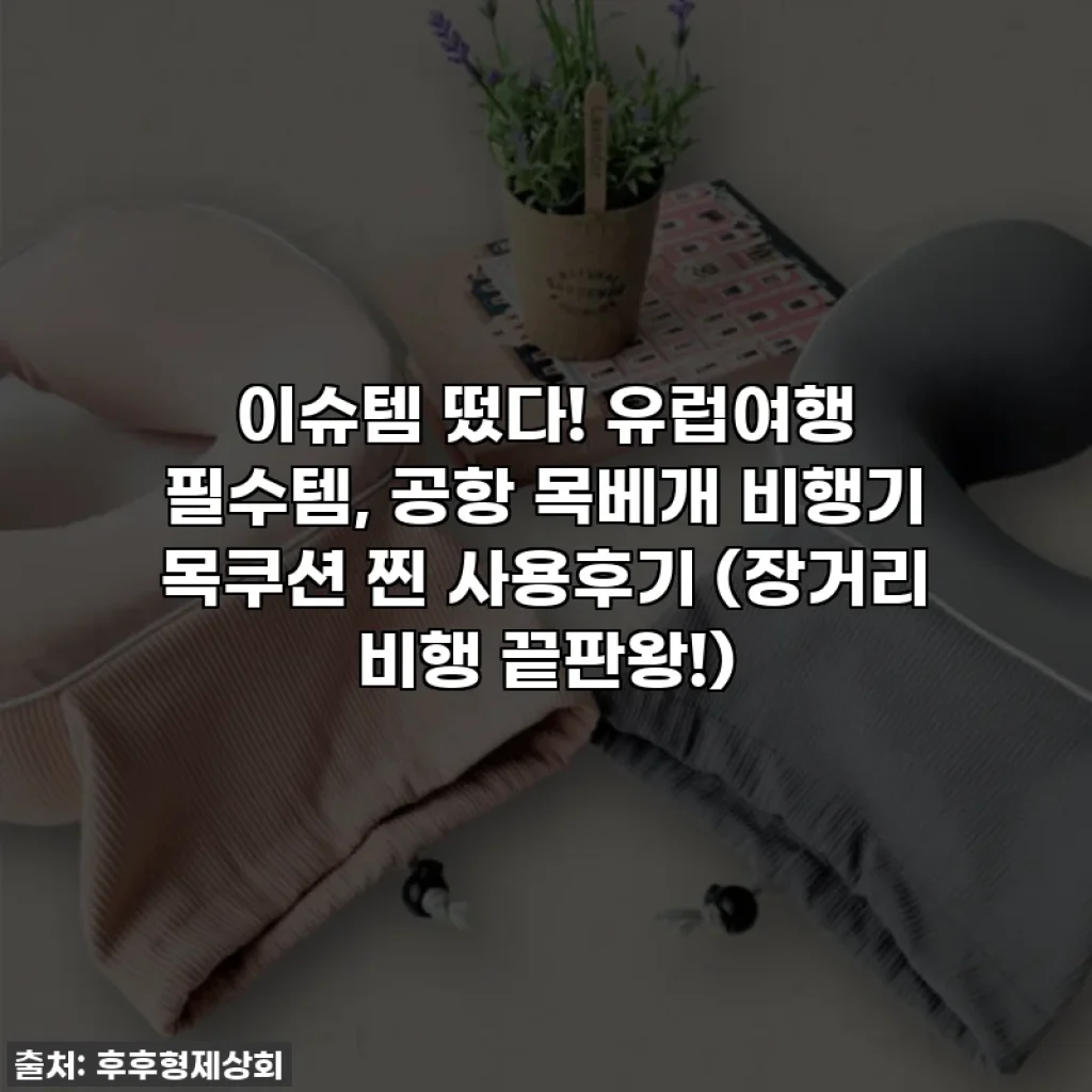 이슈템 떴다! 유럽여행 필수템, 공항 목베개 비행기 목쿠션 찐 사용후기 (장거리 비행 끝판왕!)